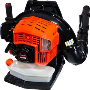 ECHO recalled product