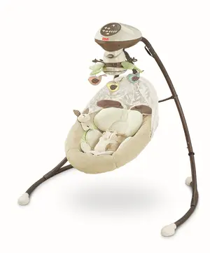 Fisher-Price recalled product