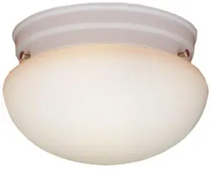 Thomas Lighting recalled product