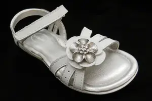 Stride Rite Children's Group recalled product