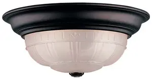 Dongguan Young Long Electric recalled product