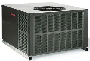 Goodman  L.P recalled product
