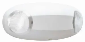 Acuity Brands Lighting recalled product
