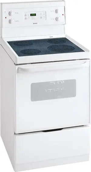 Electrolux recalled product