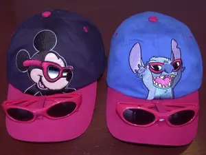 CPSC, Walt Disney World recalled product