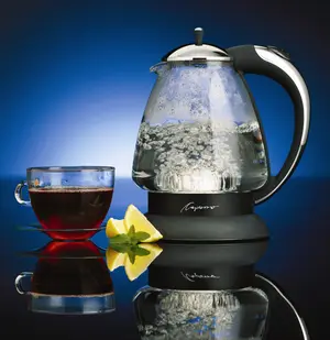 Capresso recalled product