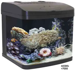 Current USA recalled product