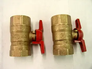 Fusan Valve recalled product