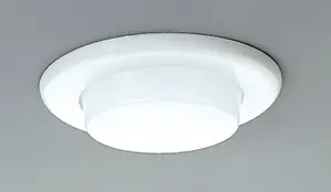 Progress Lighting recalled product