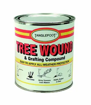 The Tanglefoot recalled product