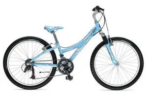 Trek recalled product
