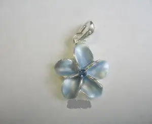 Unknown recalled product