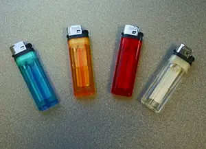 CPSC, Fleetwood EXIM recalled product