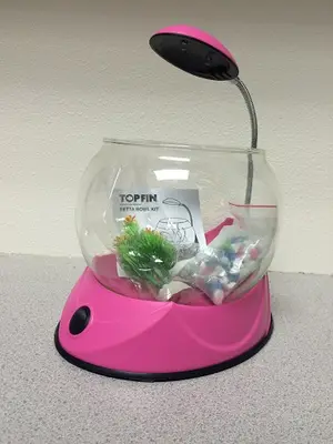 PetSmart recalled product