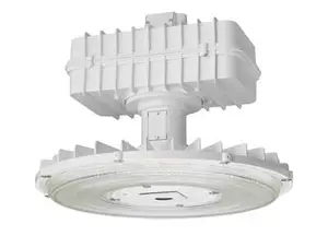 Lithonia Lighting recalled product