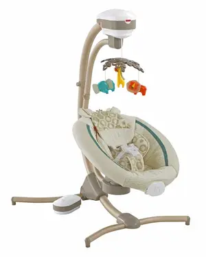 Fisher-Price recalled product