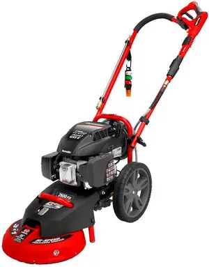 Homelite Consumer Products recalled product