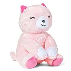 Kids Preferred recalled product
