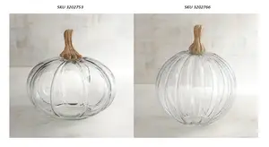 Transparent Overseas recalled product