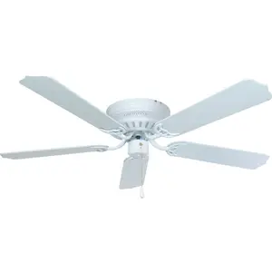 Taishan Sigma recalled product