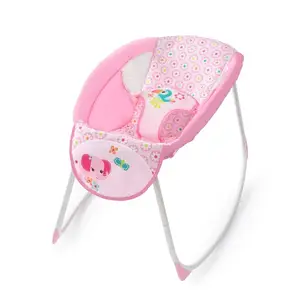 Kids II recalled product
