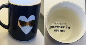 Lynns Concepts recalled product