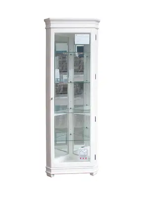Home Meridian recalled product