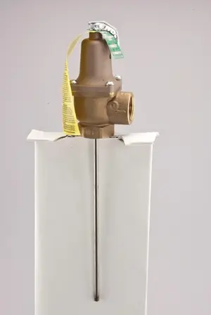 Watts Regulator recalled product