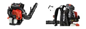 ECHO recalled product