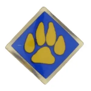 Boy Scouts of America recalled product