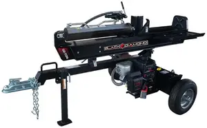 Briggs & Stratton recalled product