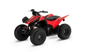 American Honda Motor , Torrance, California recalled product