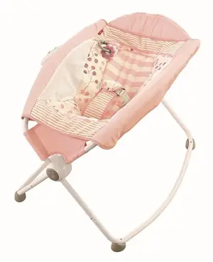 Fisher-Price recalled product