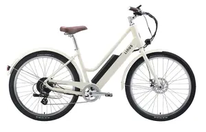 Shenzhen Xidesheng Bicycle recalled product