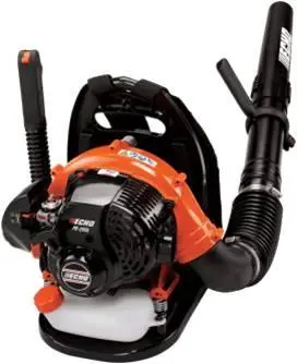 ECHO recalled product